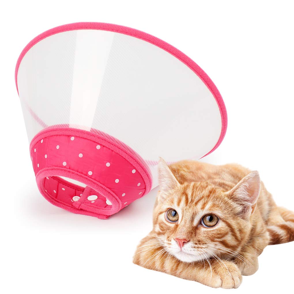 Le collier conique Andiker pour chat rose translucide avec bord rembourré pour plus de confort.