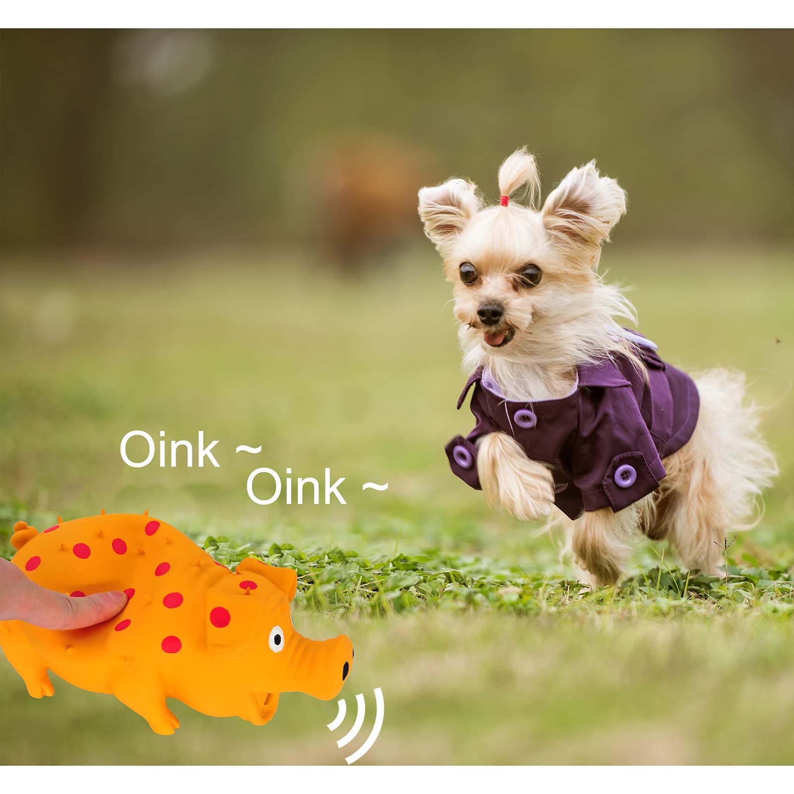 Andiker jouet anti-anxiété chien – léger et portable pour jeux solitaires.