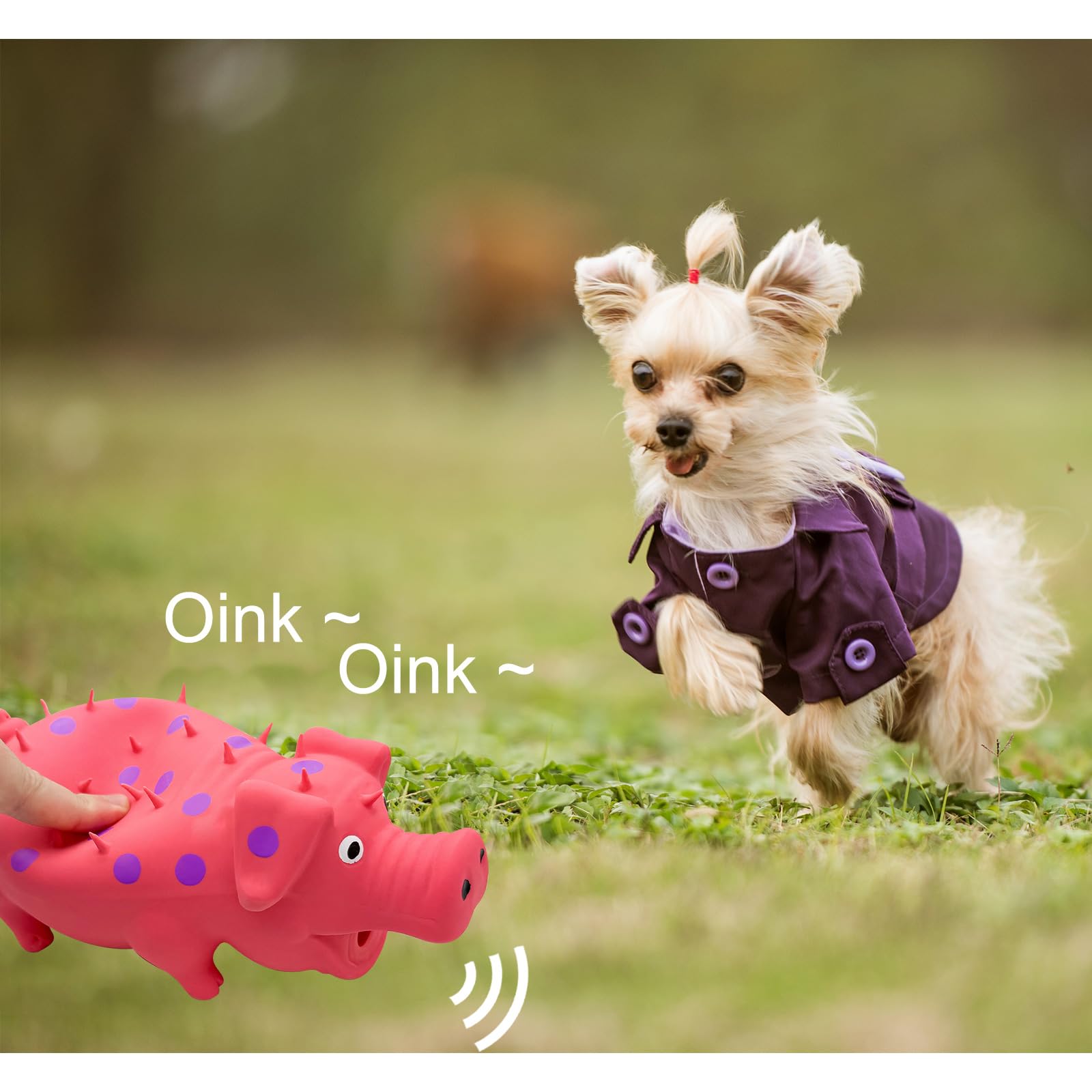 Jouet Andiker pour chien anti anxiété, activité seul à la maison.