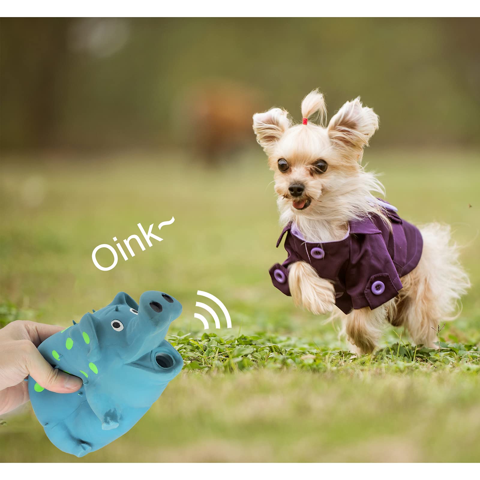 Jouet Andiker bleu, divertissement rapide et léger pour chien