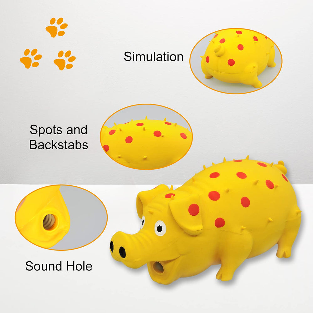 Chien en action avec le jouet Andiker, parfait pour poursuites et jeu autonome.