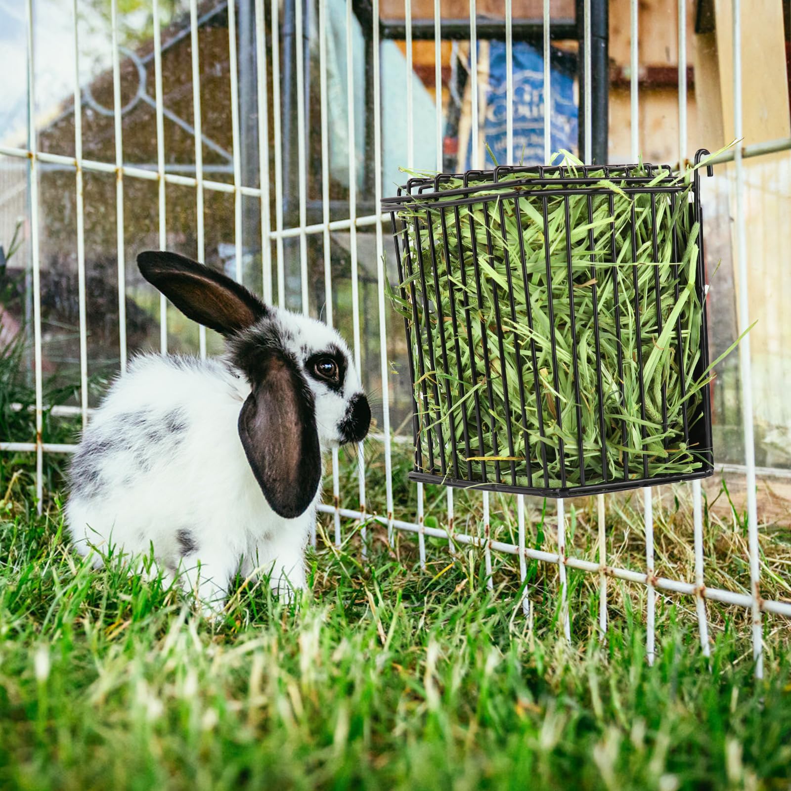 Andounier accessoire foin pour petits animaux, compatible cage variée.