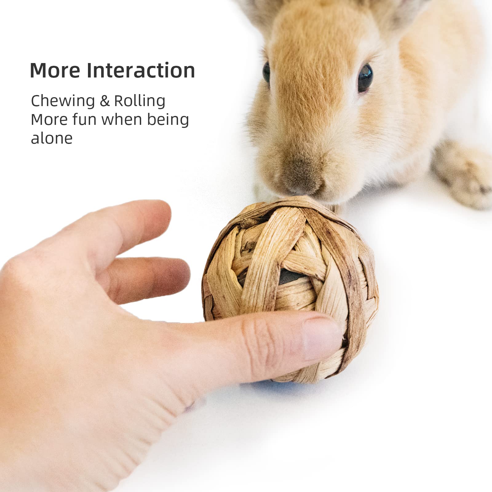 andwe Boules enrichissement cage – interactions sensorielles et jeu.