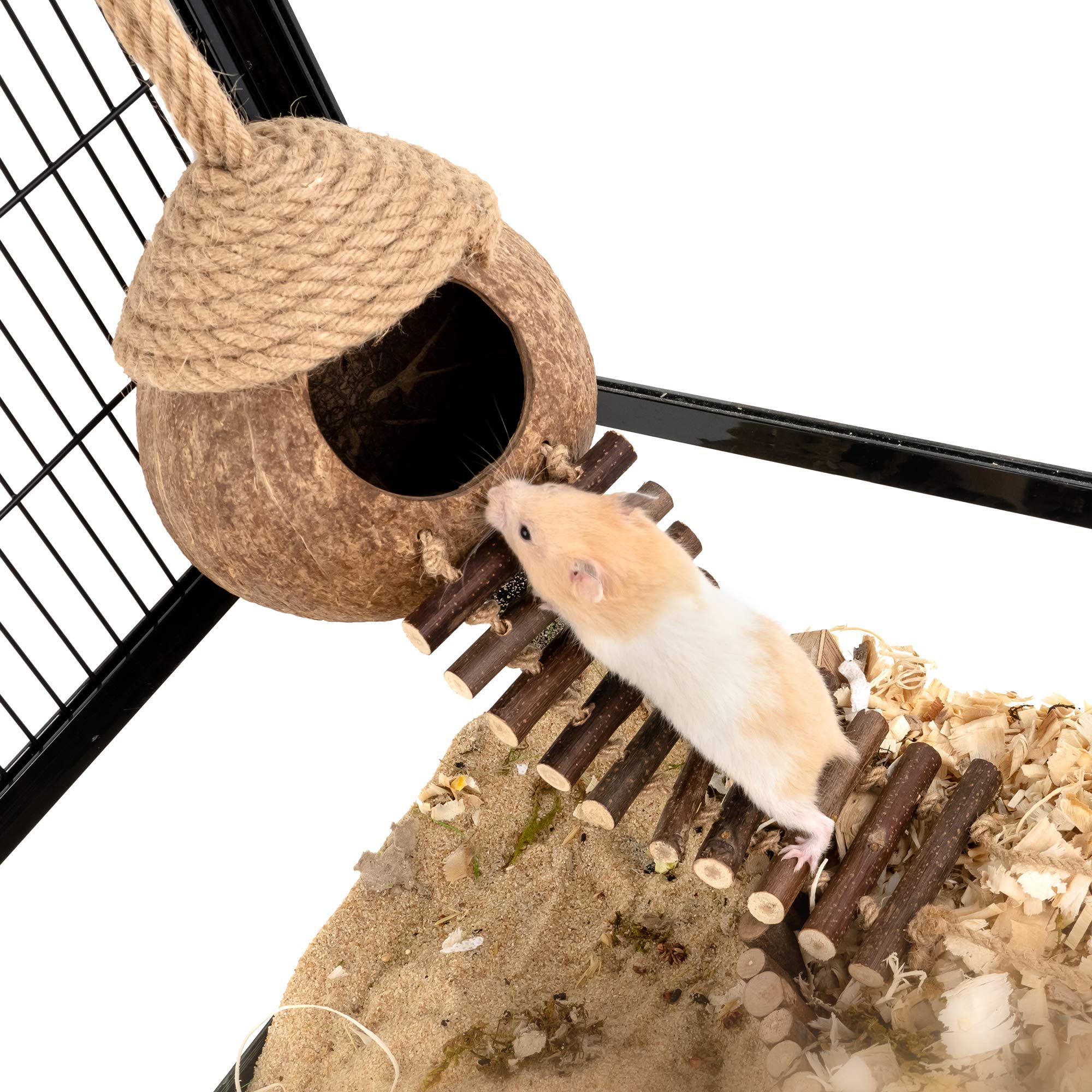 andwe distributeur nourriture nid perroquet: nourrir en s'amusant.