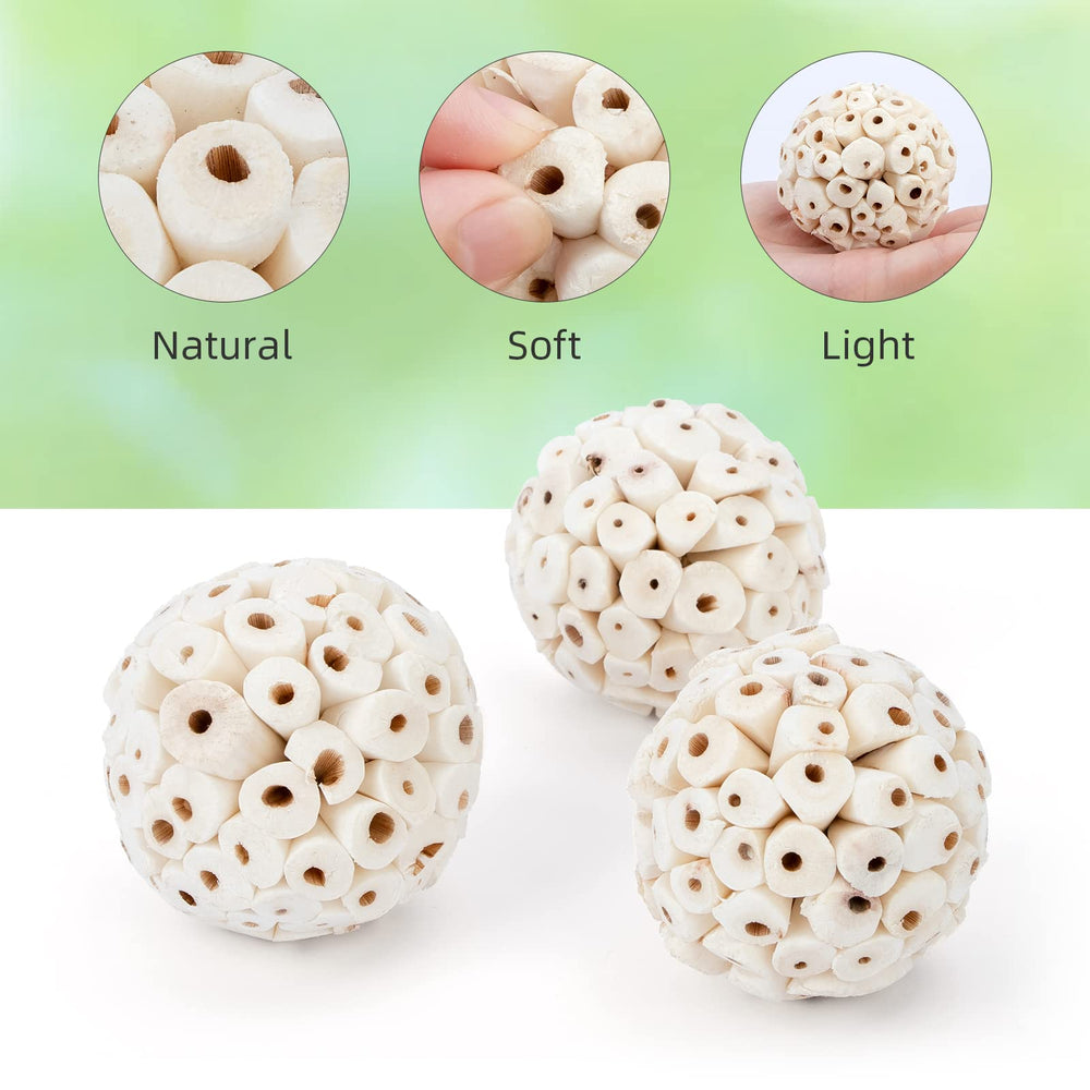 andwe forage-balle-sola-naturelle : activité de forage pour occuper l'oiseau.