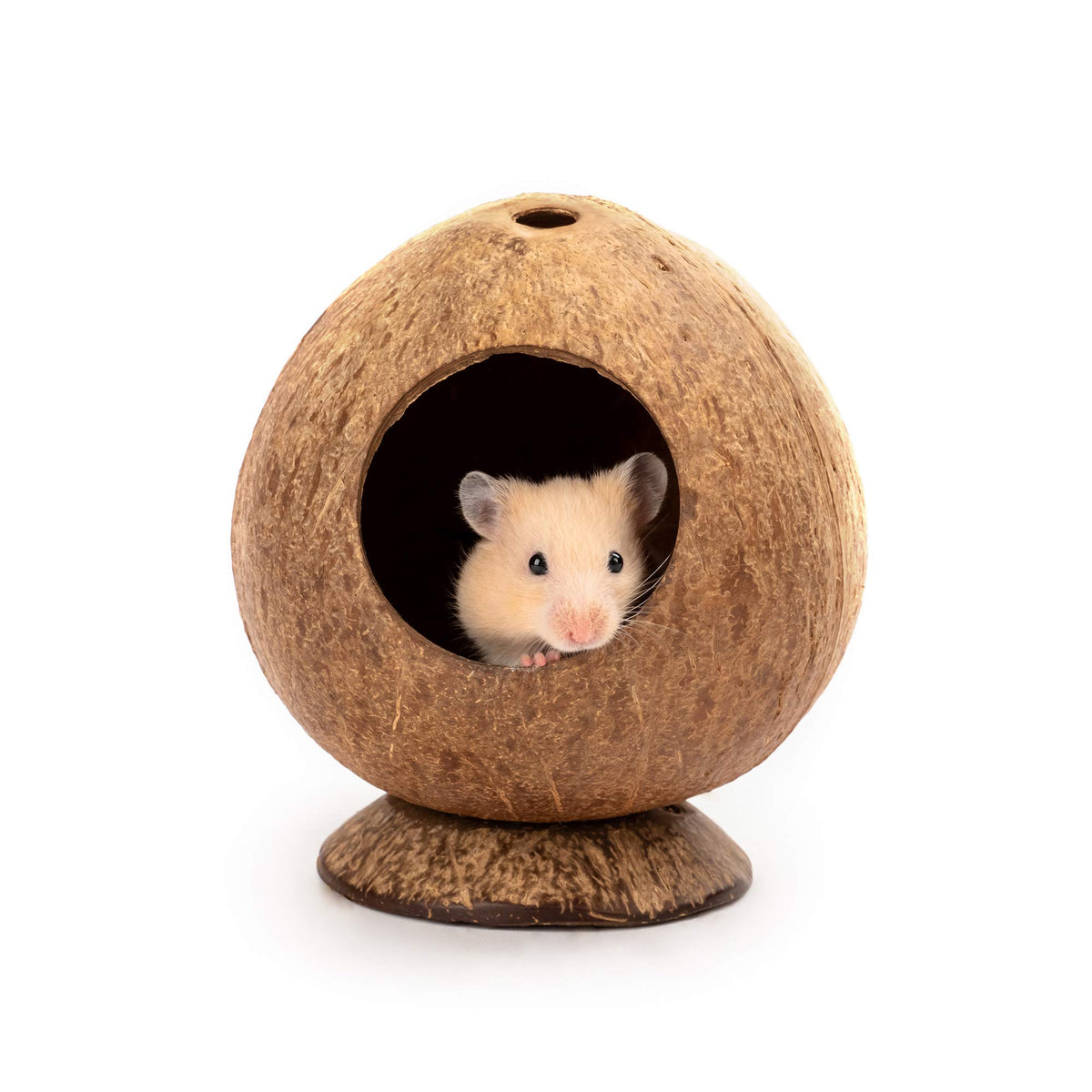Andwe hutte coco : maison pour hamster, abri sûr et accès facile.