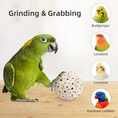 andwe jeu-oiseau-balle-sola-naturelle : stimulation mentale et plaisir de mâcher.
