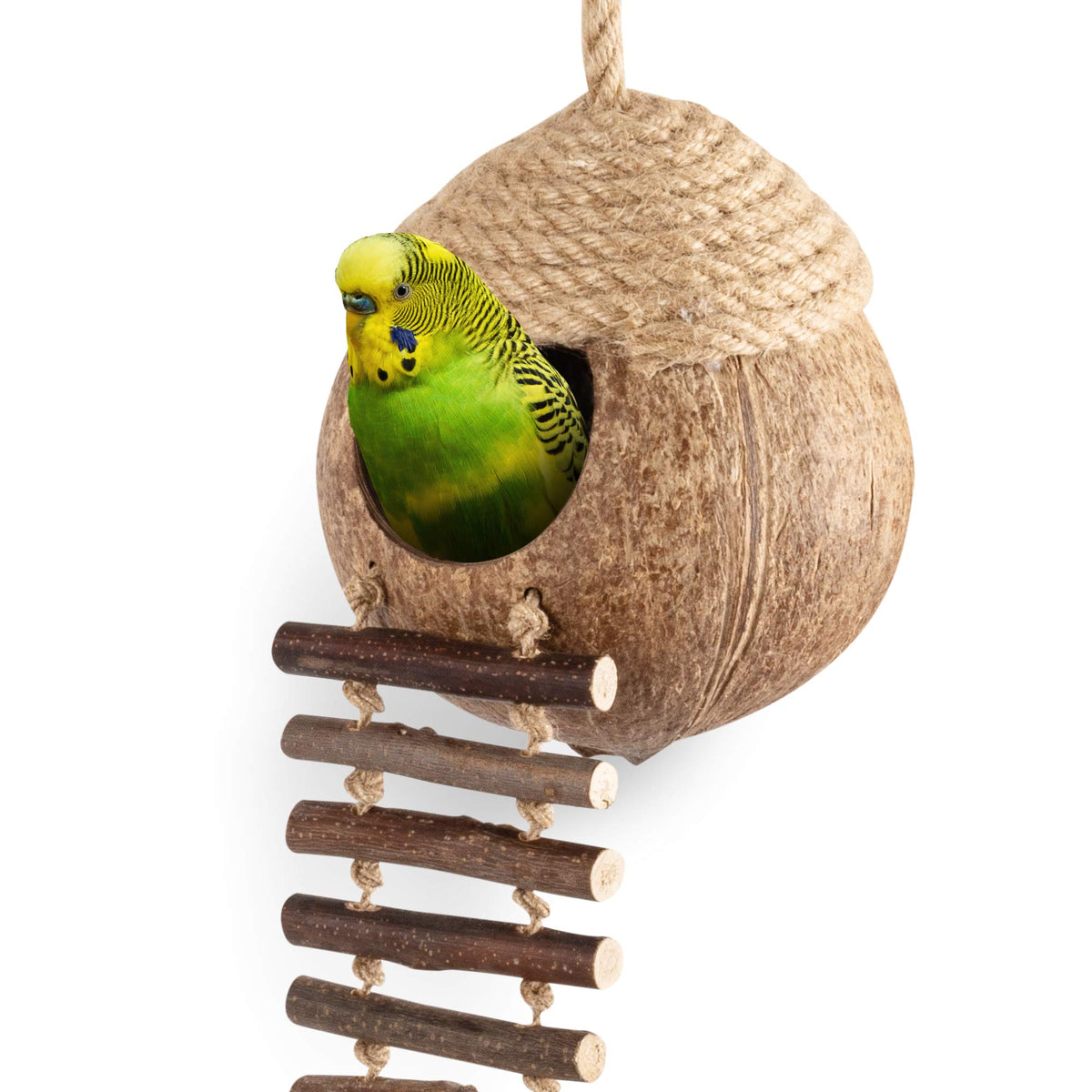 andwe nid coco perroquet espace repos: refuge sûr pour se reposer.