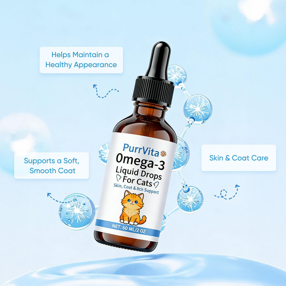 ANEFOSE PurrVita: pelage chat brillant et peau saine grâce au soin quotidien.