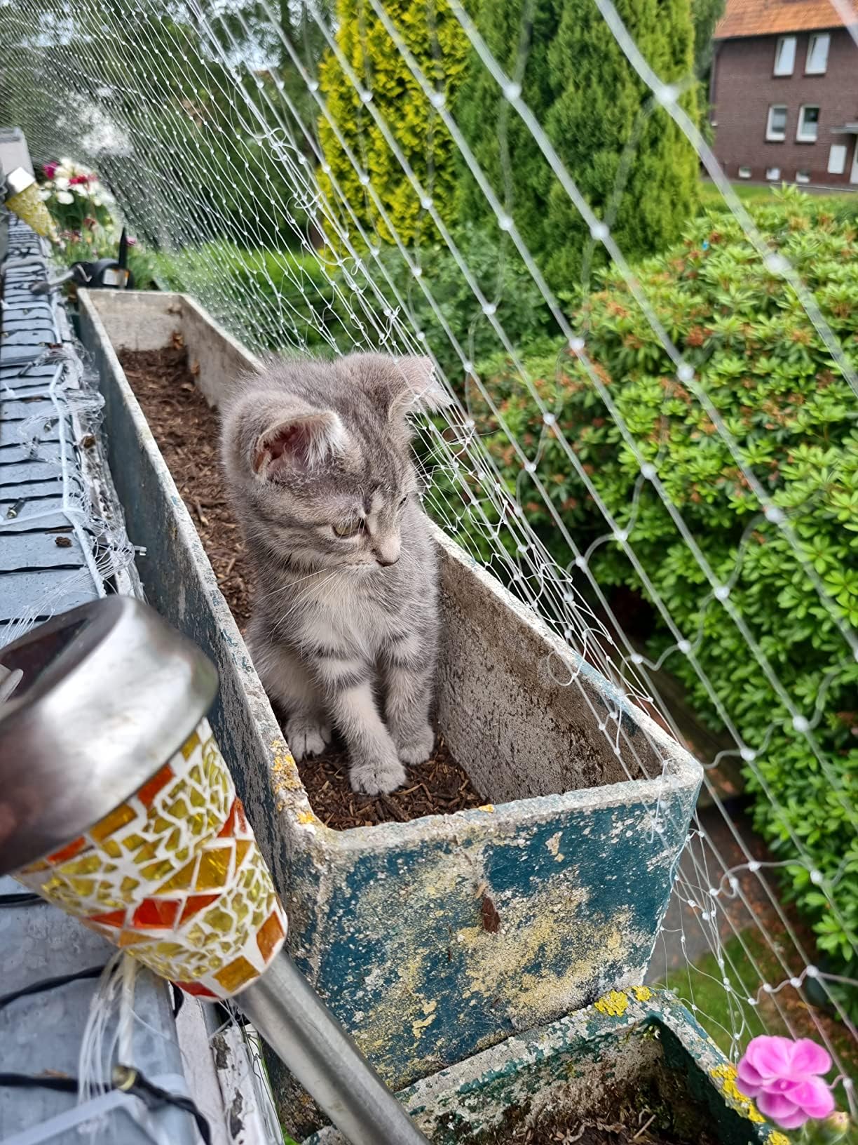 AnExer filet noir balcon: solution anti-chute pour animaux domestiques.