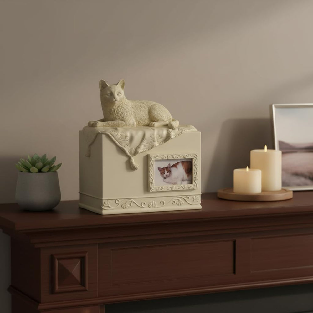 AngelStar Comfy Hour urn porcelaine brun, options d'affichage mémoire