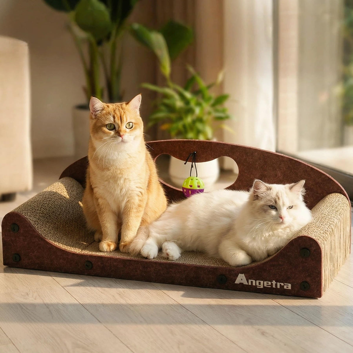 Angetra grattoir-chat-grand-lit : espace spacieux pour plusieurs chats.