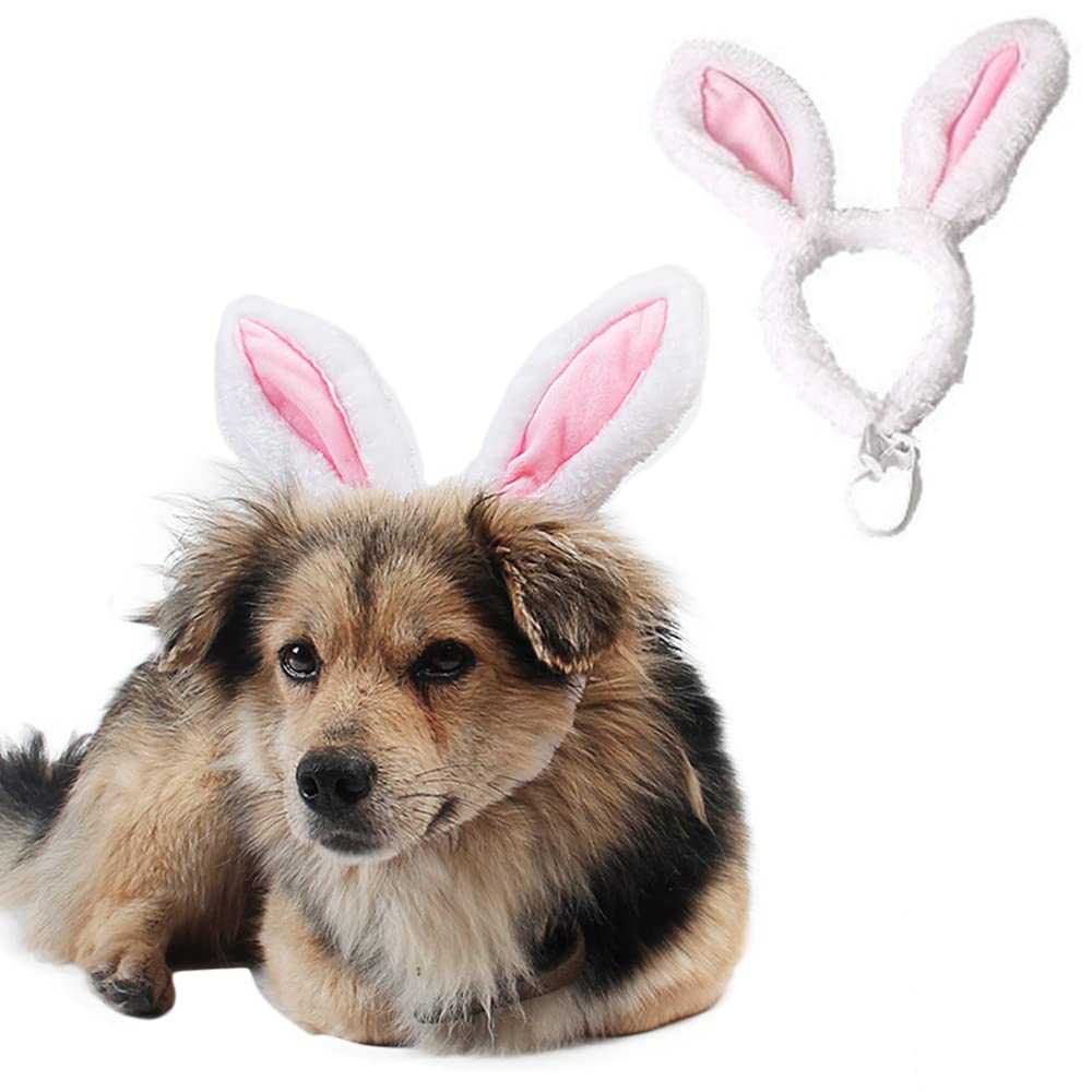 ANIAC bandeau Paques pour chien et chat, accessoire mignon pour les photos et les fêtes.