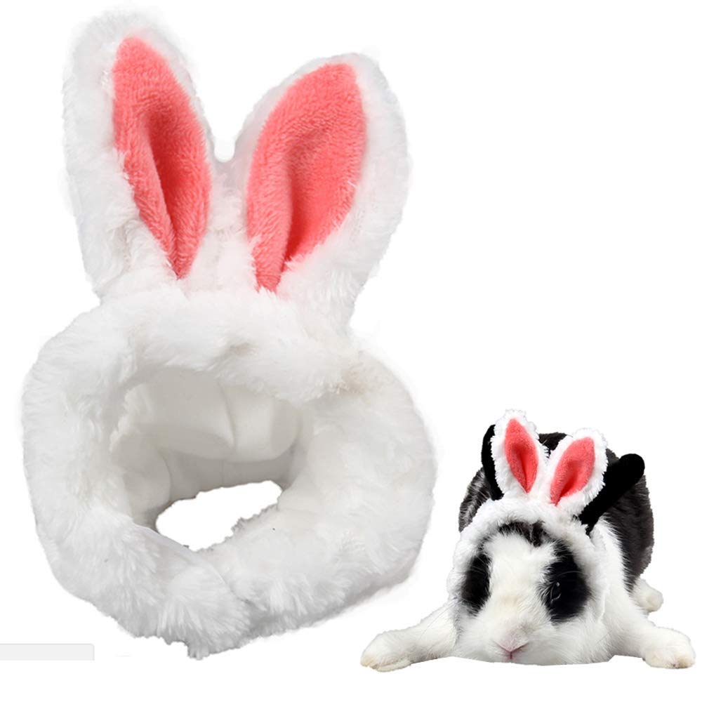 Chapeau lapin ANIAC pour petits animaux, vue frontale, confort et aspect mignon.