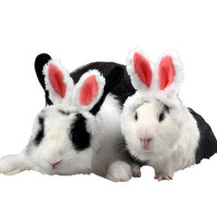 Détails des oreilles lapin ANIAC, effet adorable et coloré.