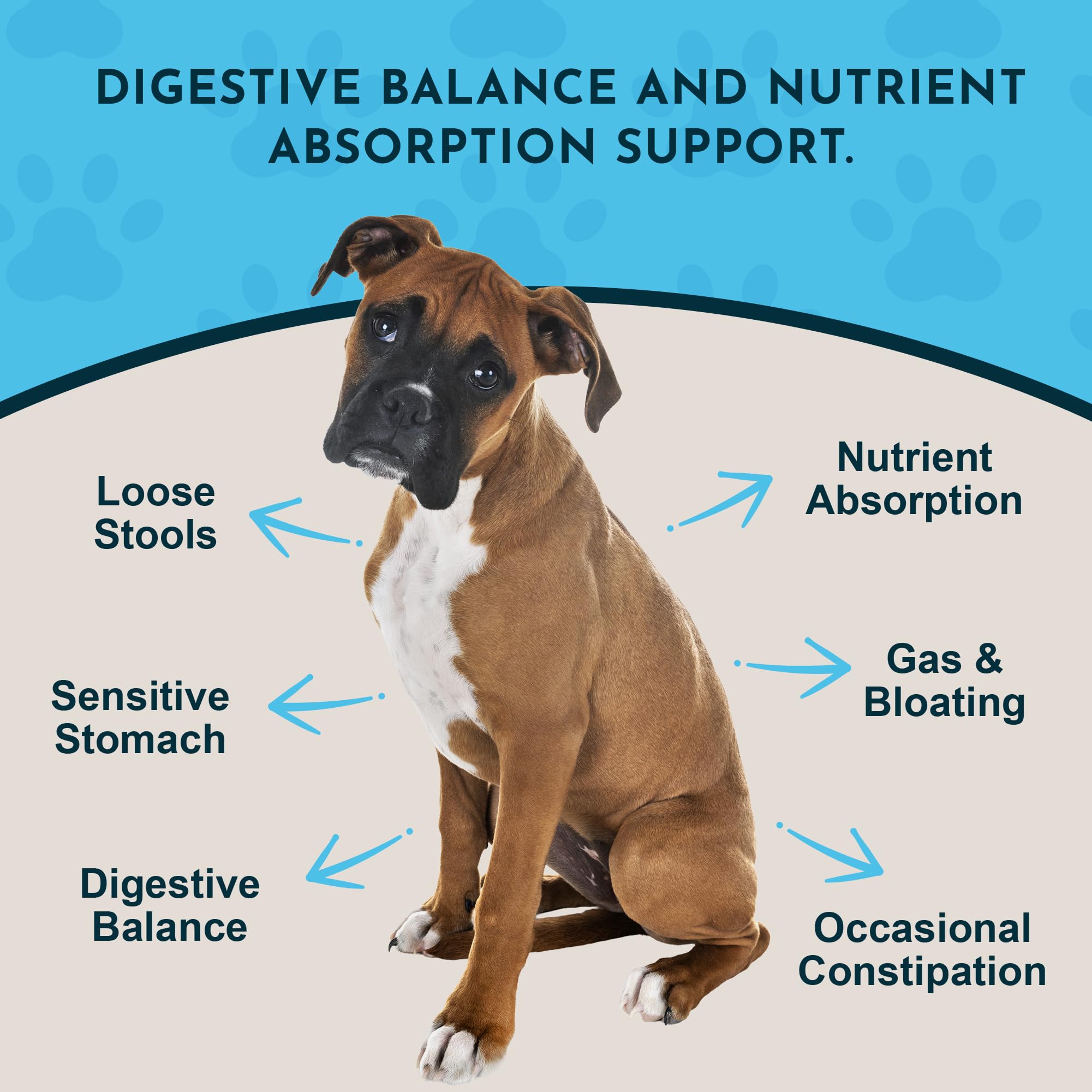 Animal Essentials bouteille d'enzymes et probiotiques, soutien digestif naturel pour animaux.