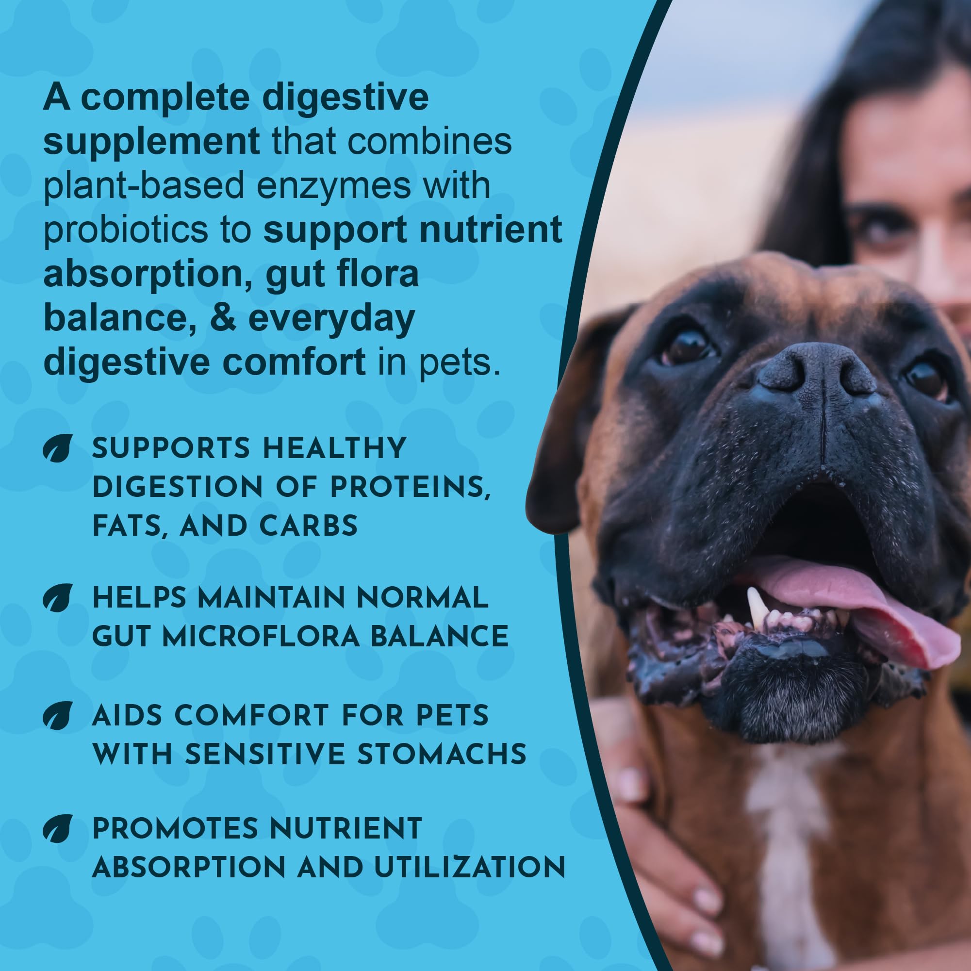 Animal Essentials bouteille-poudre à base de plantes, soutien digestif pour chiens et chats.