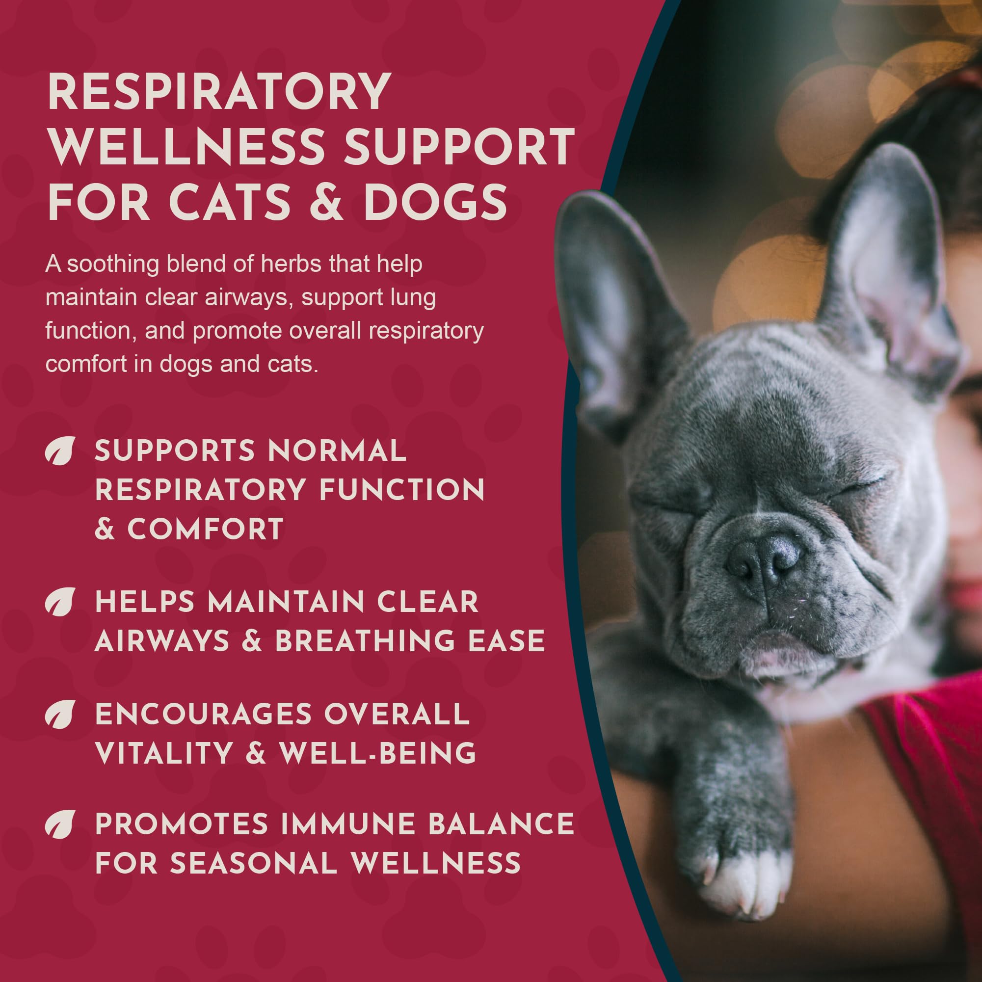 Animal Essentials Breathe EZ – chien et chat illustrés montrant le contexte d’usage domestique.