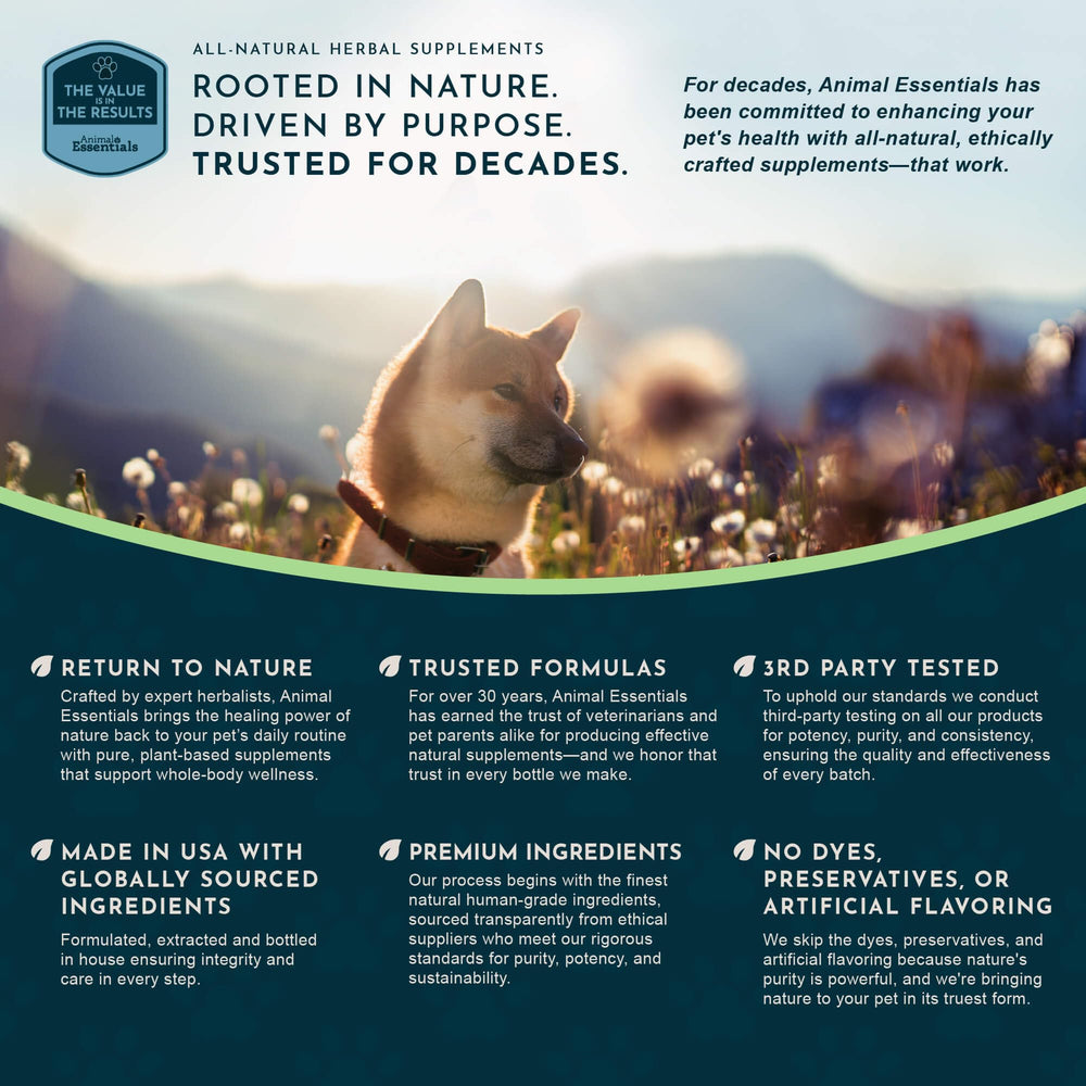 Animal Essentials Breathe EZ – présentation visuelle adaptée à l’usage quotidien à domicile.