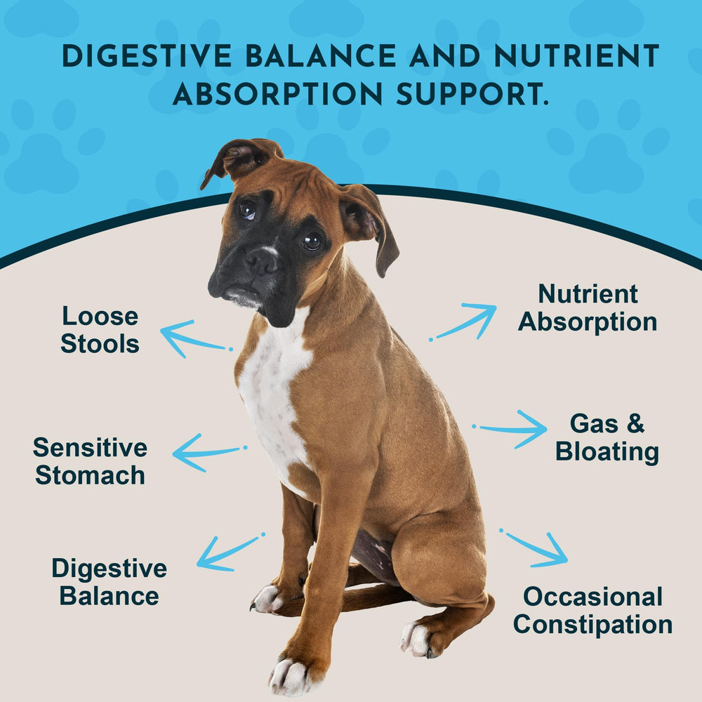 Animal Essentials doseur-poudre-enzyme-probiotiques permet une administration quotidienne précise.