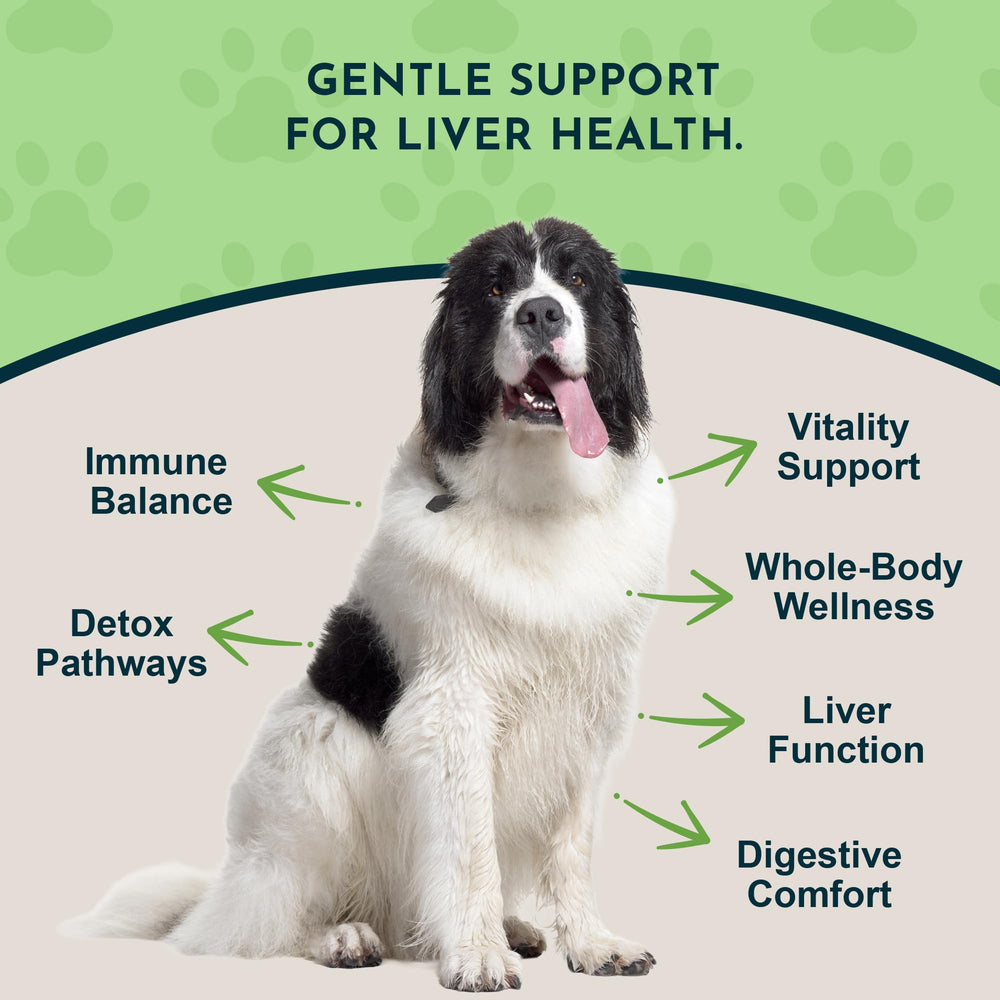 Compte-gouttes de Défense du foie Animal Essentials pour dosage précis.