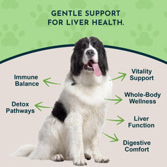 Compte-gouttes de Défense du foie Animal Essentials pour dosage précis.