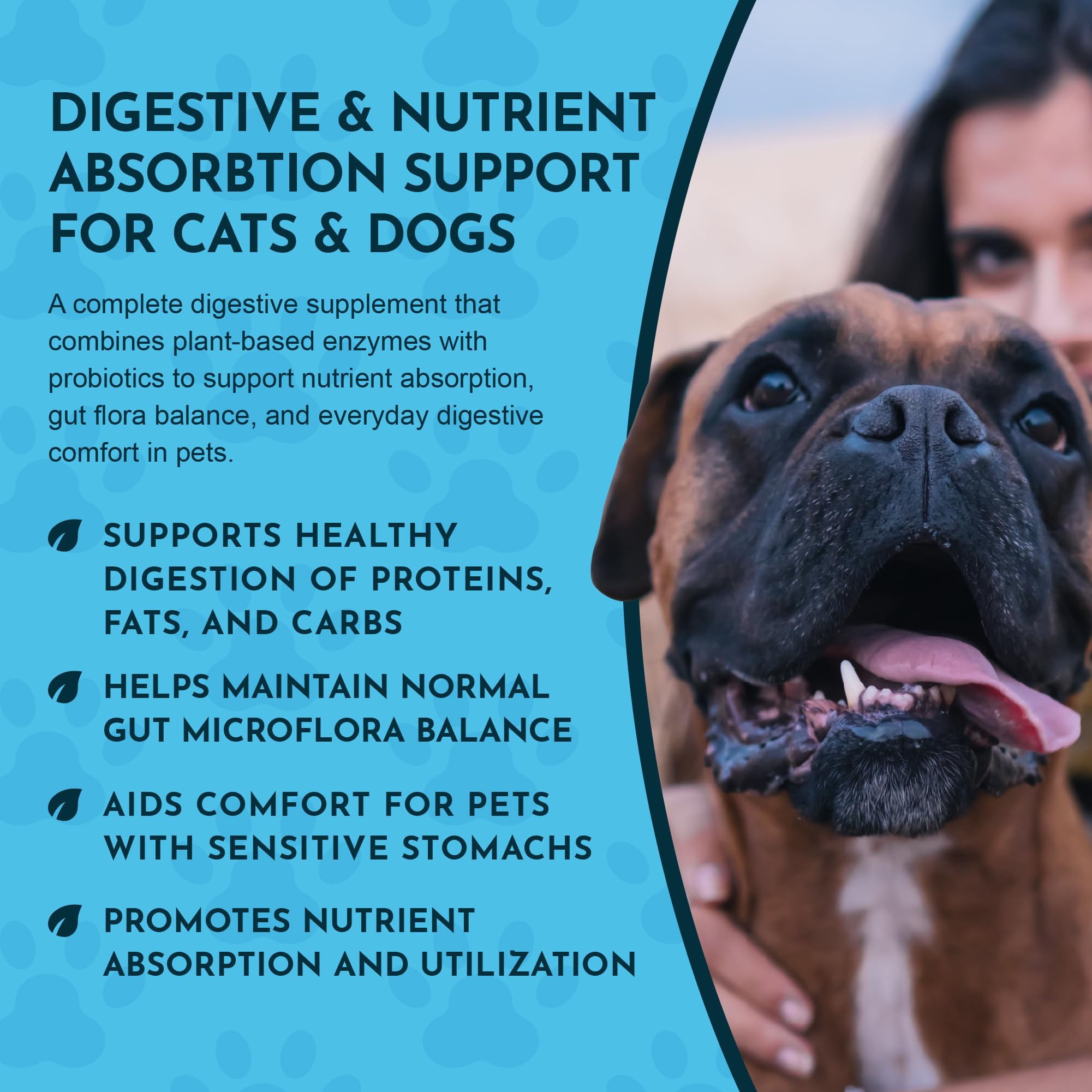 Animal Essentials probiotiques-digestifs aide à soutenir l'équilibre intestinal et l'absorption.