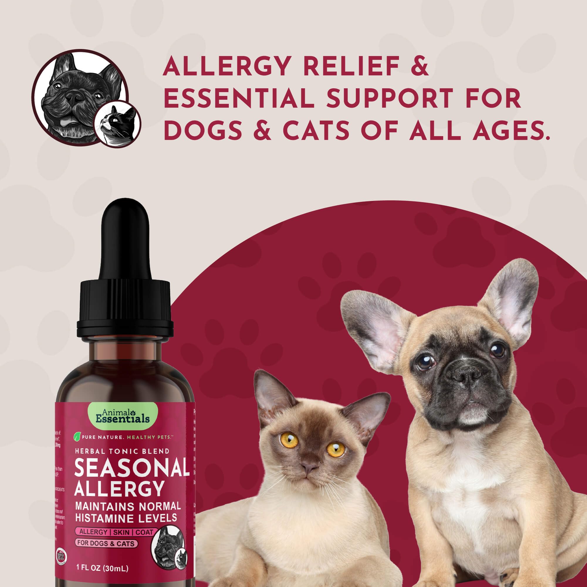 Solution sans alcool d'Animal Essentials, administration douce.