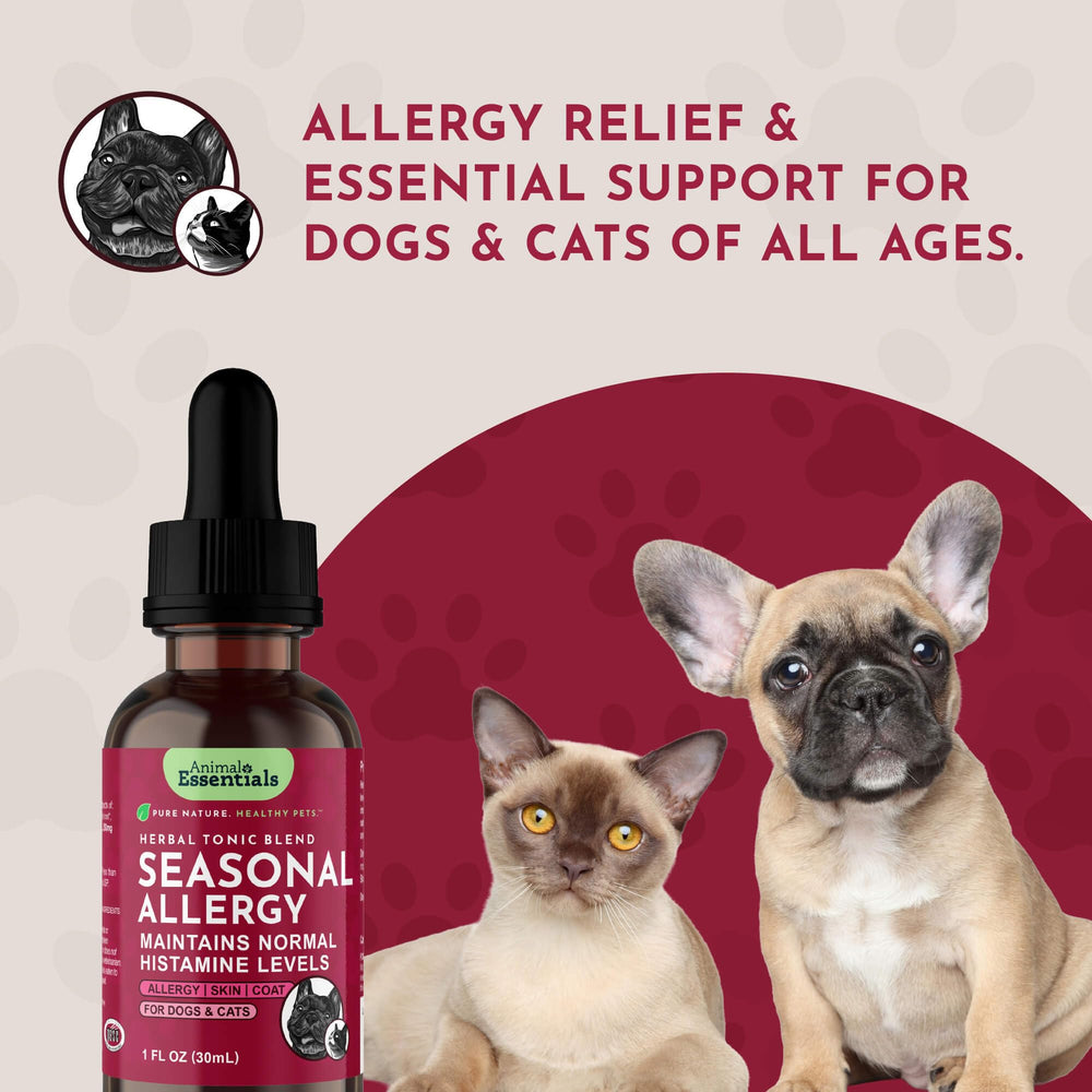 Solution sans alcool d'Animal Essentials, administration douce.