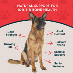 Sea-Cal Animal Essentials: emballage recyclable mettant en avant une solution naturelle pour la santé musculo-squelettique