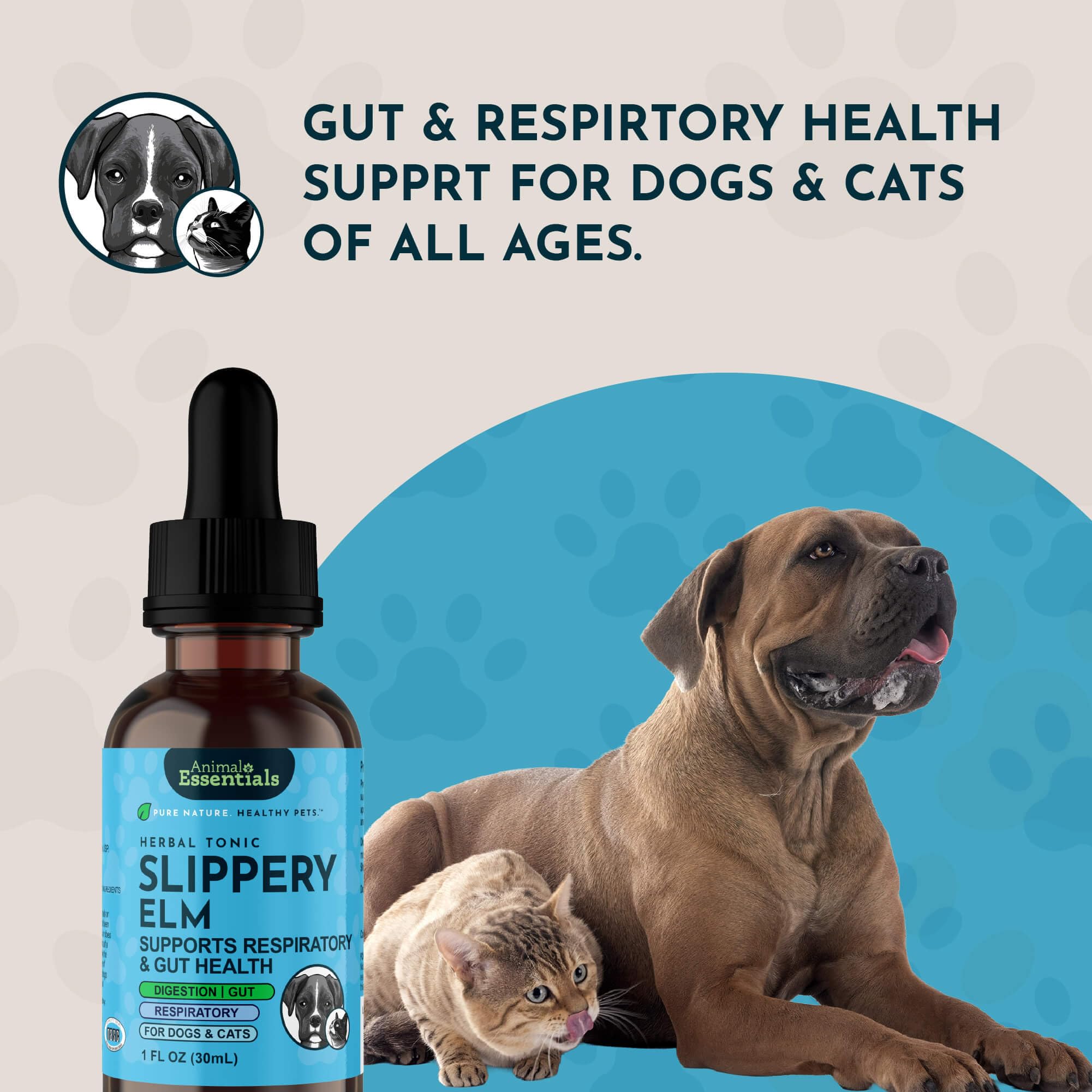 Chien et chat utilisant Animal Essentials Slippery Elm – image illustrant une aide possible à la digestion.