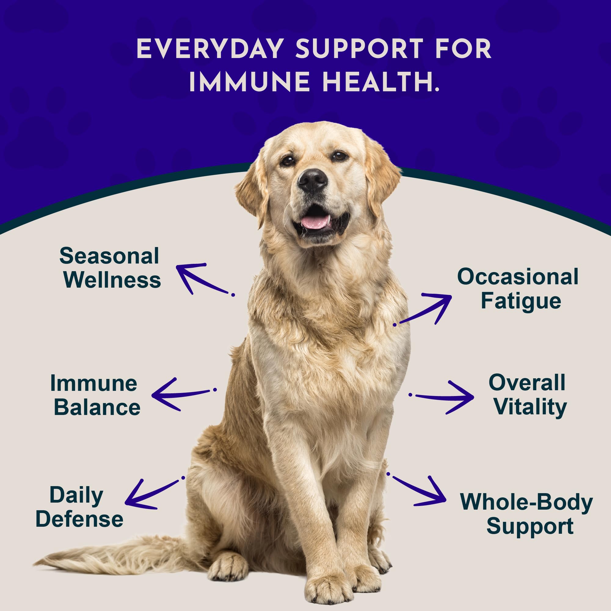 Animal Essentials Super Immune – étiquette claire des ingrédients naturels des chiens et chats.