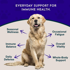 Animal Essentials Super Immune – étiquette claire des ingrédients naturels des chiens et chats.