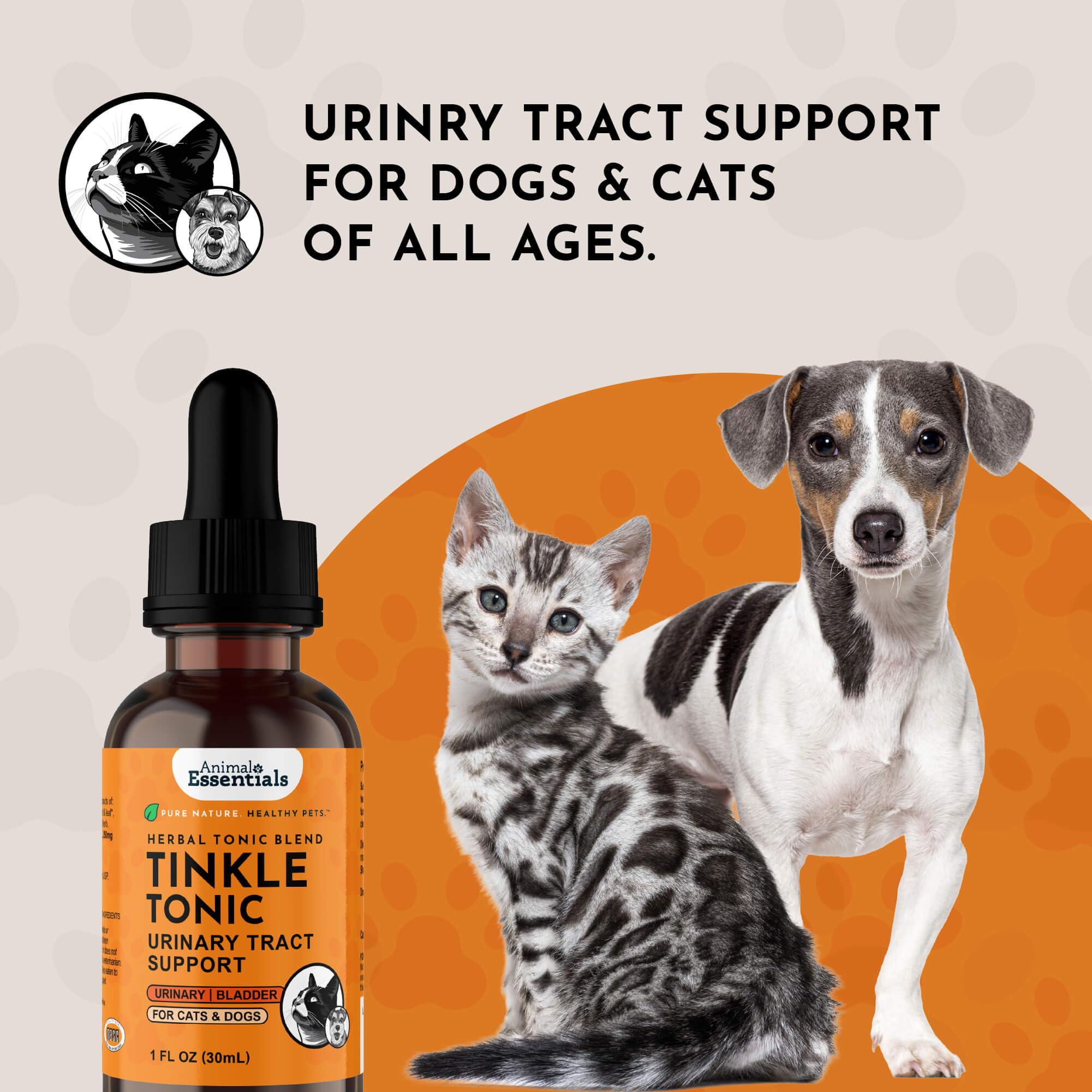 Cadre naturel autour du Tinkle Tonic Animal Essentials dans un décor paisible