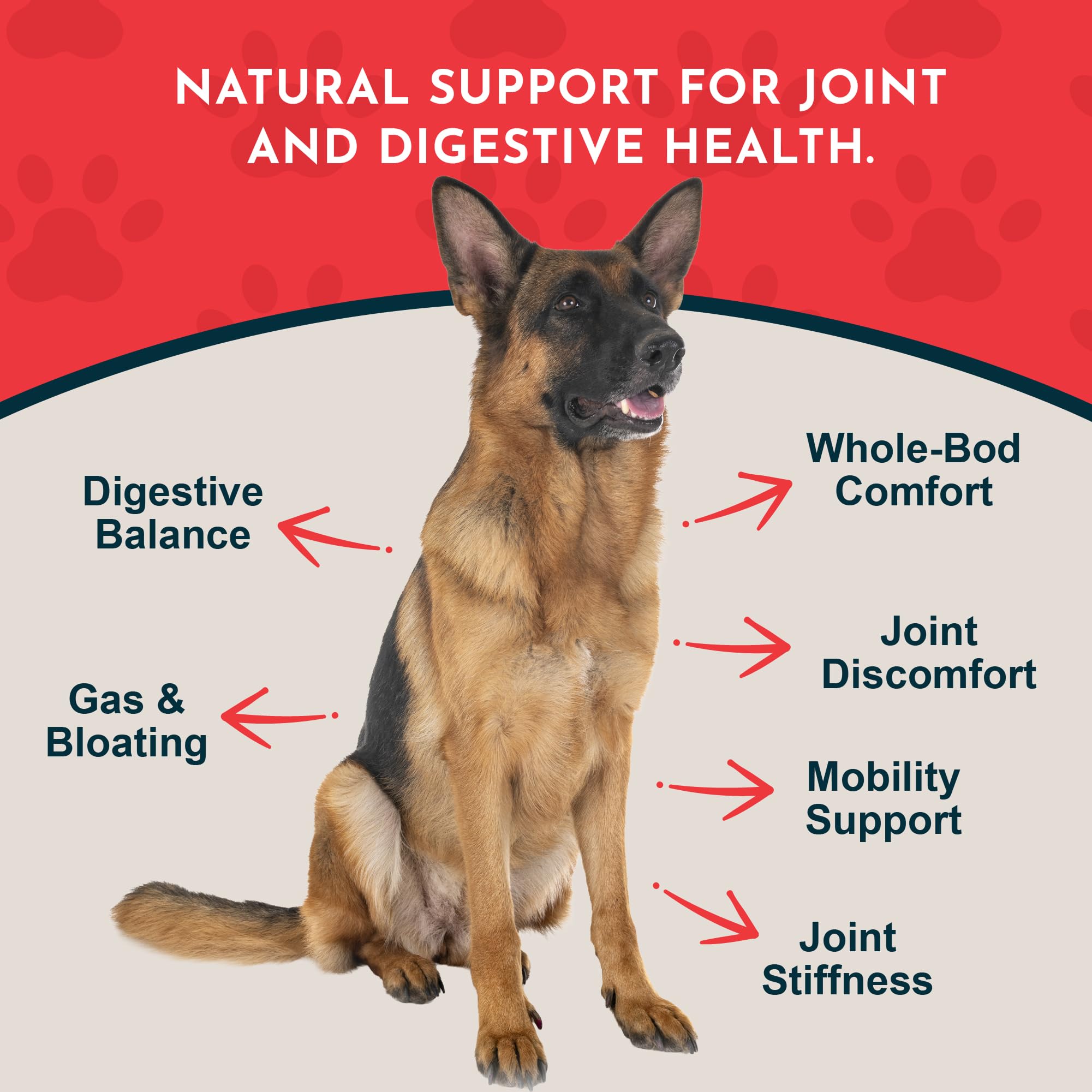Yucca Animal Essentials gouttes pour articulations et hanches.