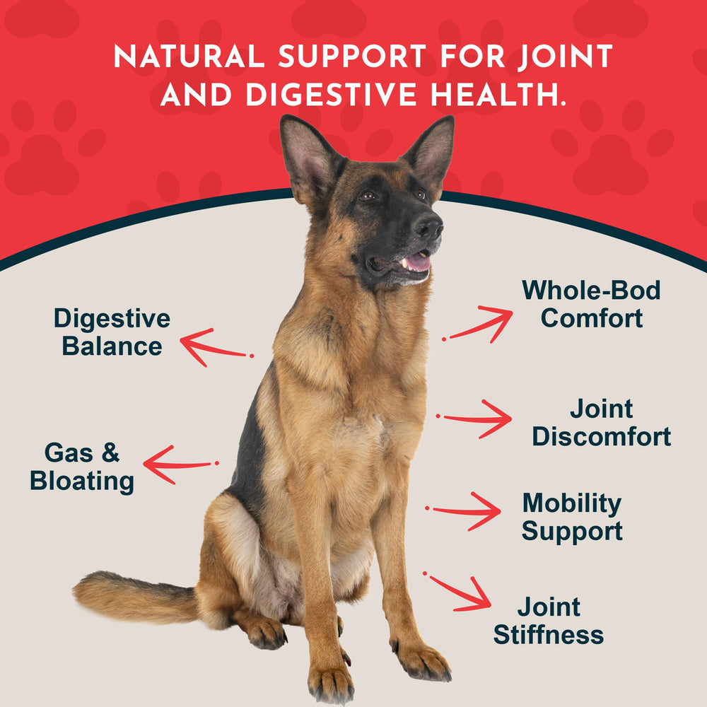 Yucca Animal Essentials gouttes pour articulations et hanches.