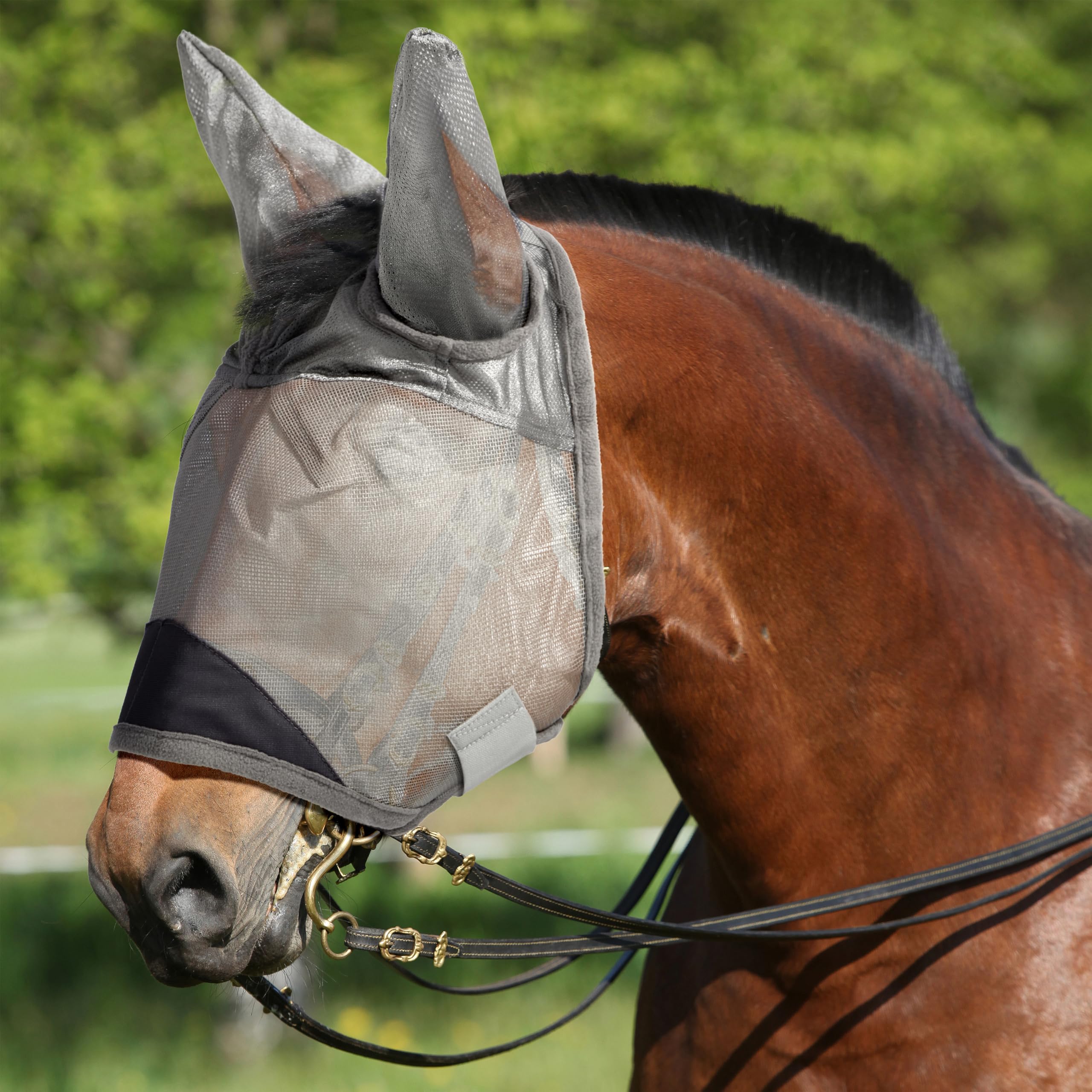 Animal-Gifts masque anti-mouches cheval – vue face, protection efficace contre les insectes.