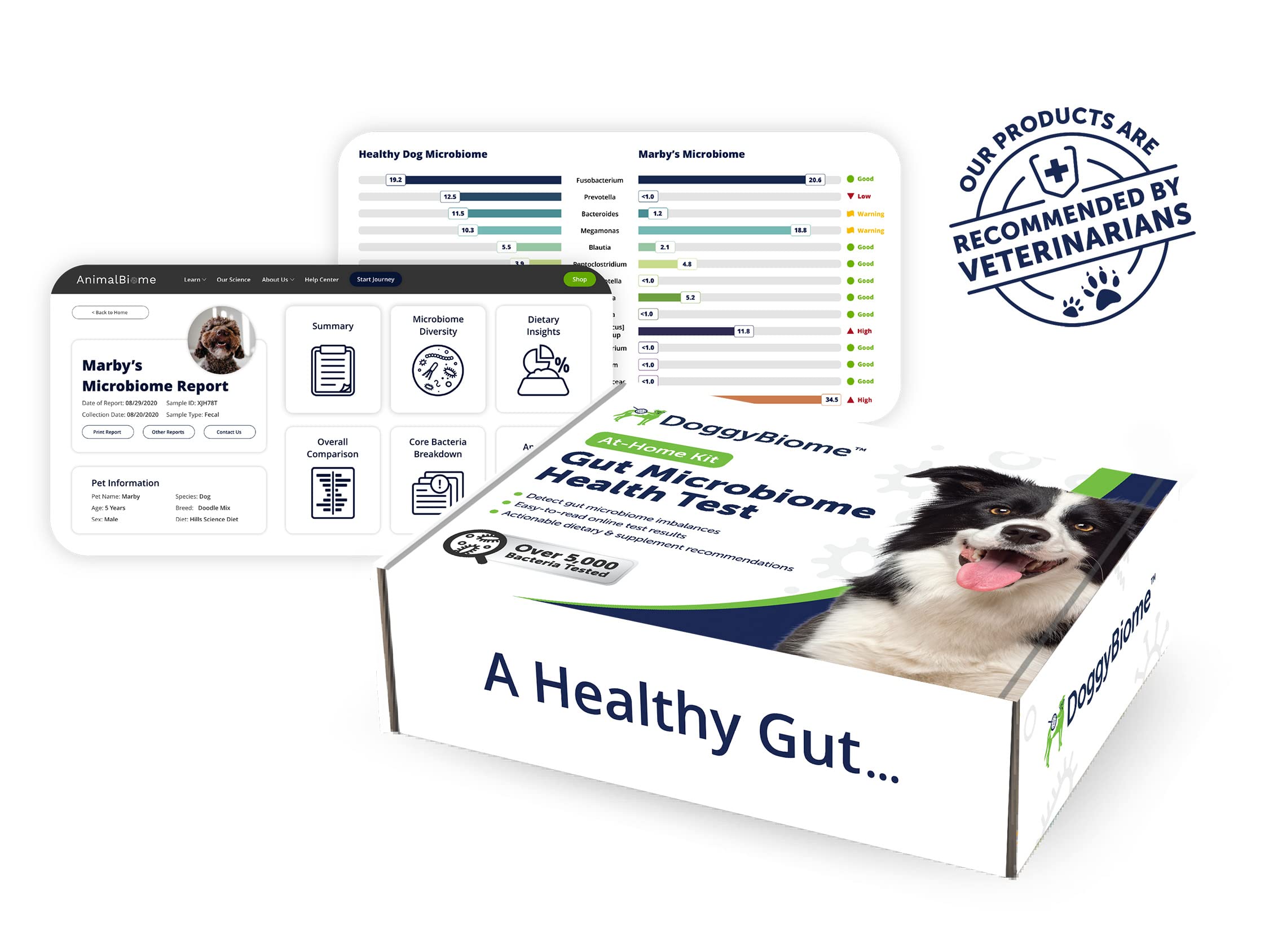 AnimalBiome consultation personnalisée – conseils nutritionnels adaptés au chien.