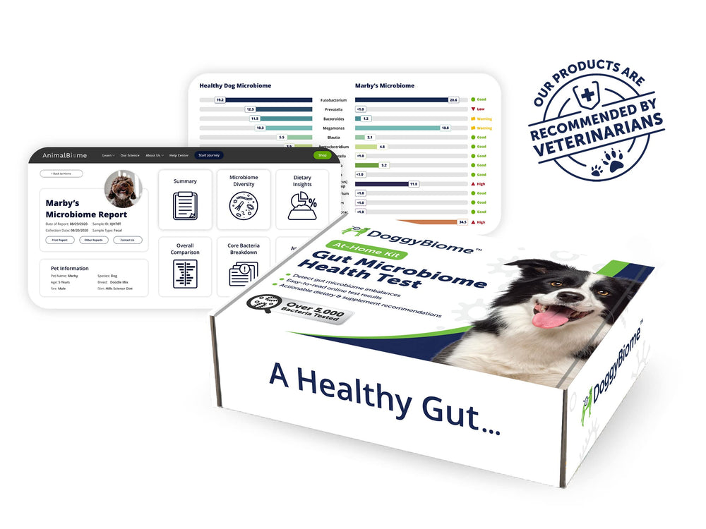 AnimalBiome consultation personnalisée – conseils nutritionnels adaptés au chien.