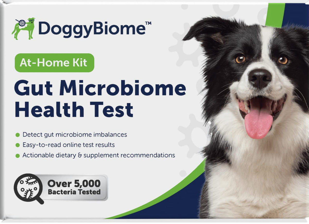 AnimalBiome kit prélevement selles chien à domicile – pratique et fiable pour l’analyse microbiome.