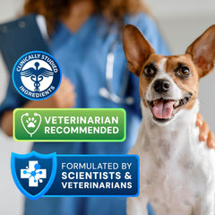 AnimalBiome Probiotiques chiens et chats - formulation résistante à l acide et bénéfique