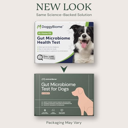 AnimalBiome rapport microbiome chien digestif – aperçu clair de la diversité bactérienne.