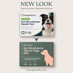 AnimalBiome rapport microbiome chien digestif – aperçu clair de la diversité bactérienne.