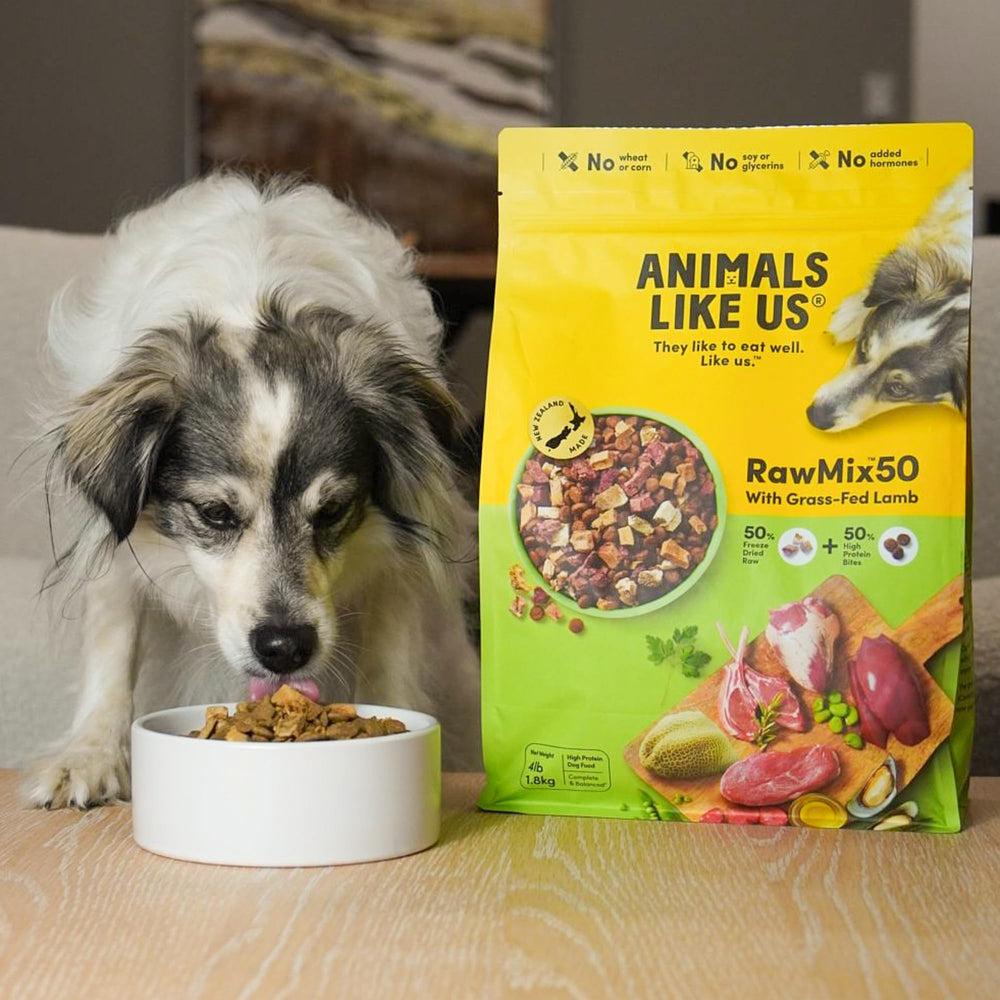 Animals Like Us RawMix50 bol prêt à servir, présentation attractive et pratique.
