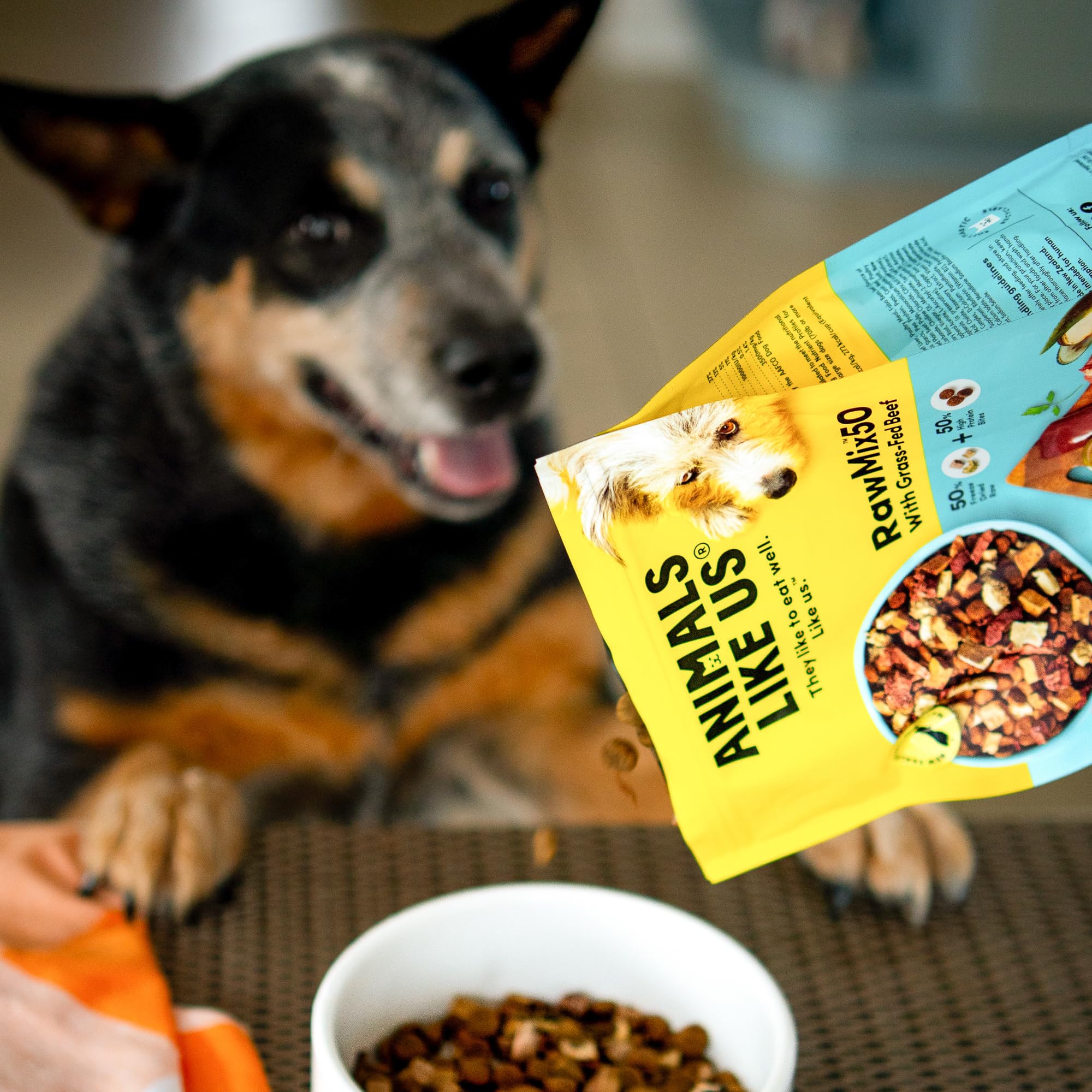 Animals Like Us RawMix50 – Logo et traçabilité assurant qualité.