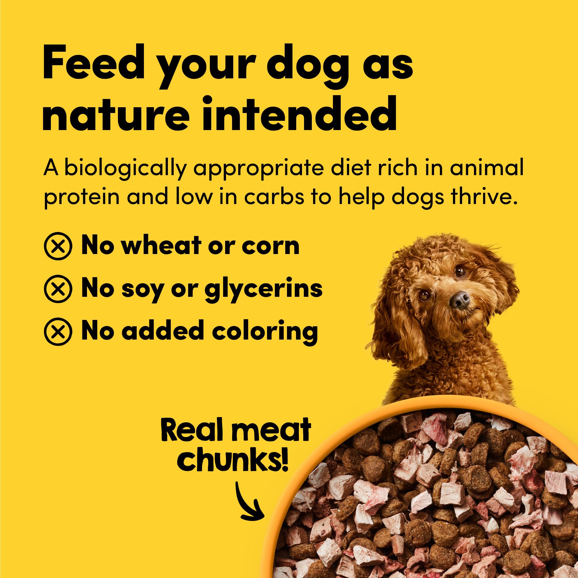Animals Like Us RawMix50 – morceaux-proteines : bouchées nourrissantes pour repas équilibré.