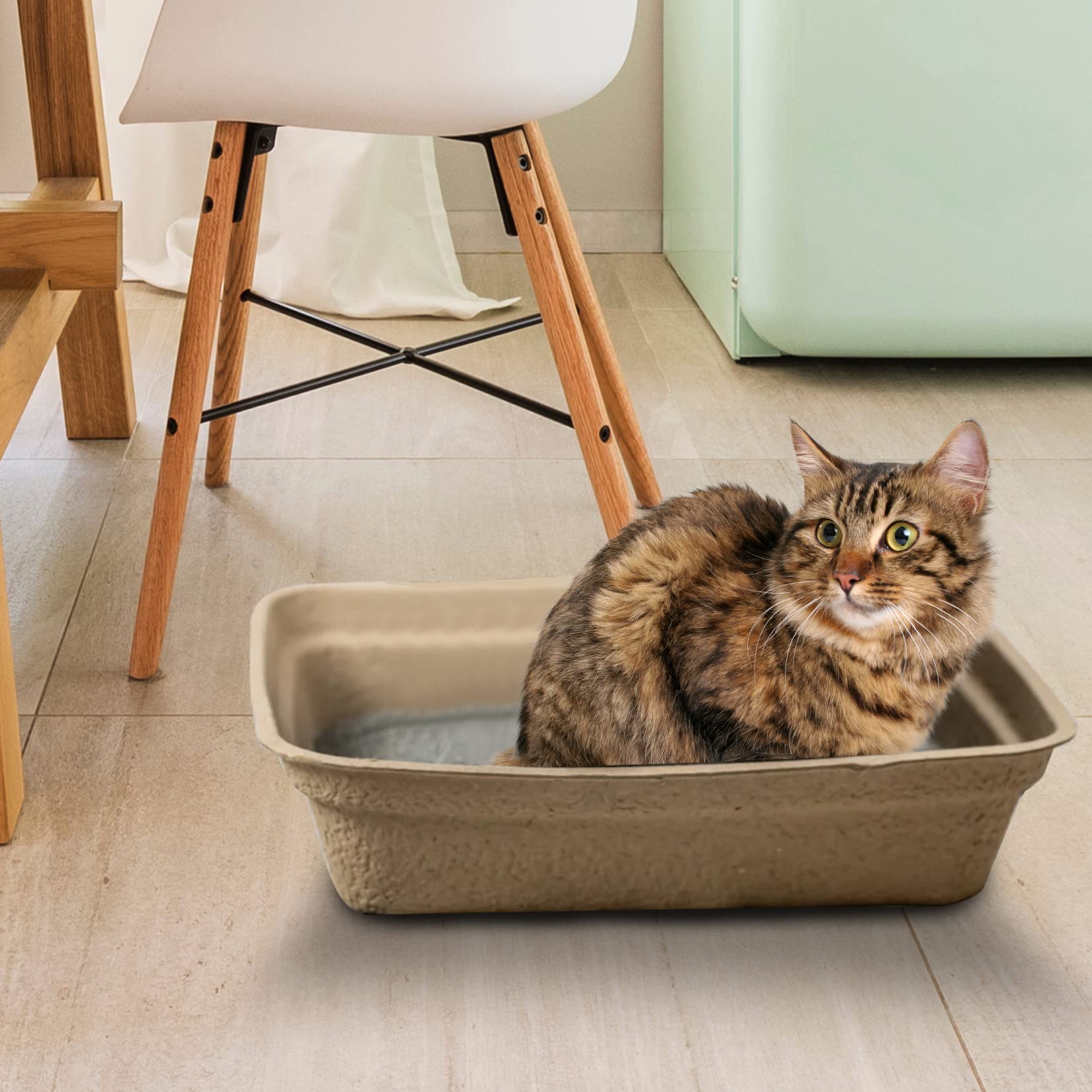 Boîtes Animaru brunes conçues pour être compostées après utilisation.