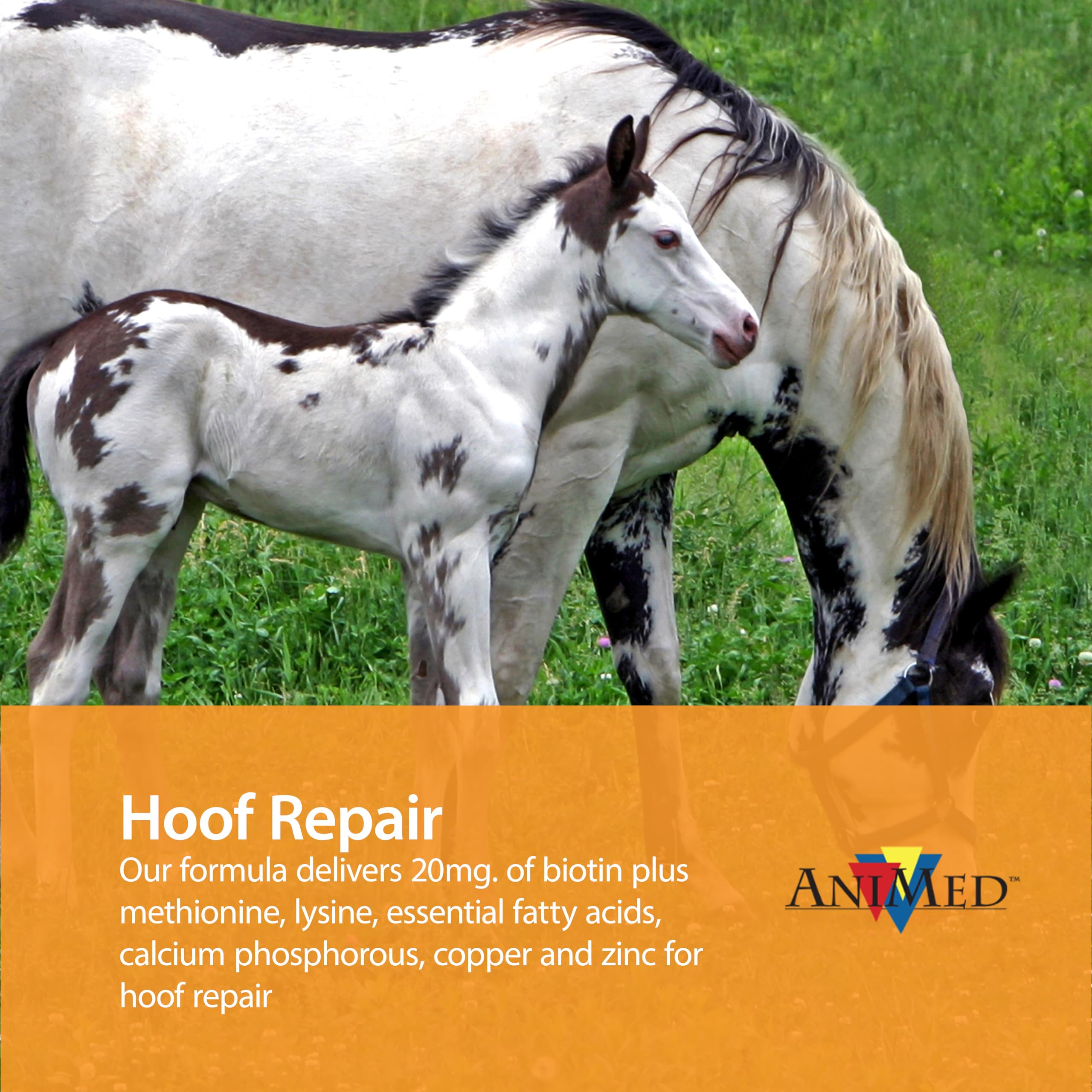 AniMed Remission – dose adaptée et usage quotidien simplifié pour les animaux.