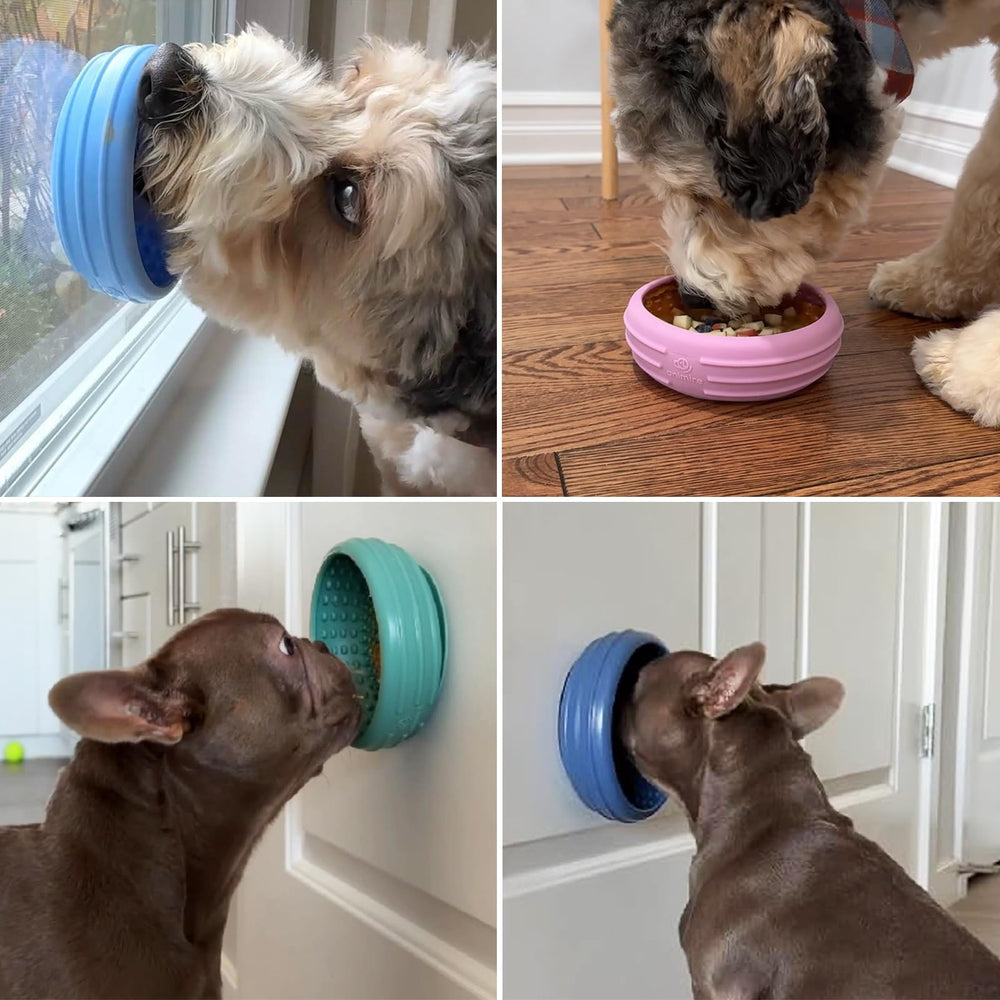 Animire bol à lécher chien surface congelable, idéal pour jours chauds.