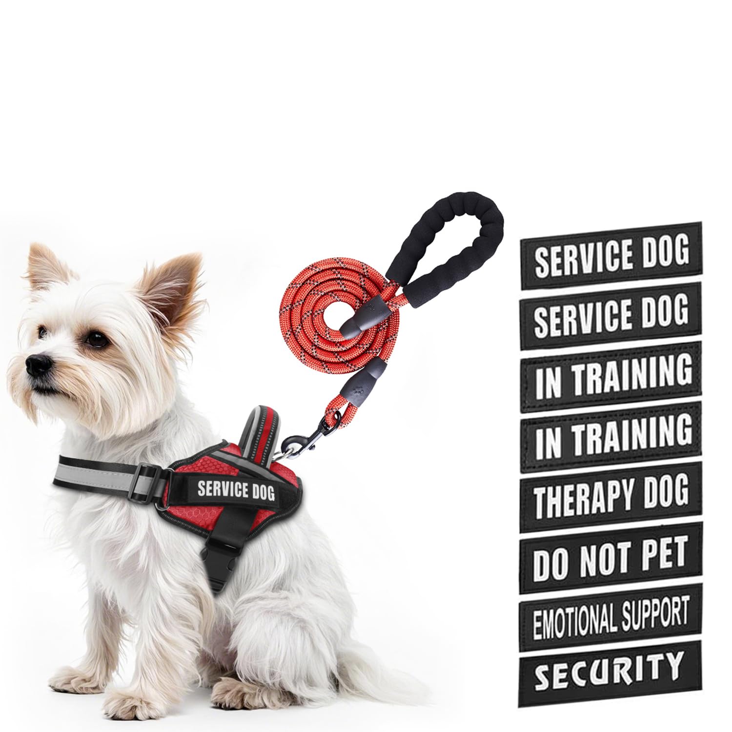 Harnais Animire avec patches Velcro affichant messages utiles pour chien en formation.